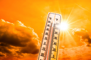 ALERTE CANICULE
